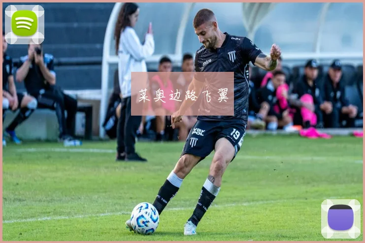 莱奥边路飞翼