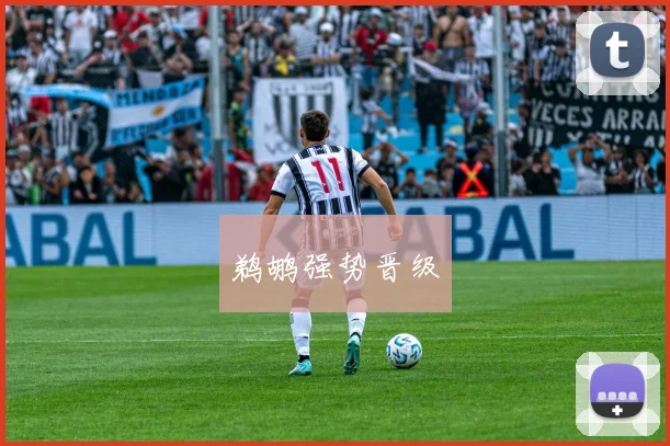 鹈鹕强势晋级