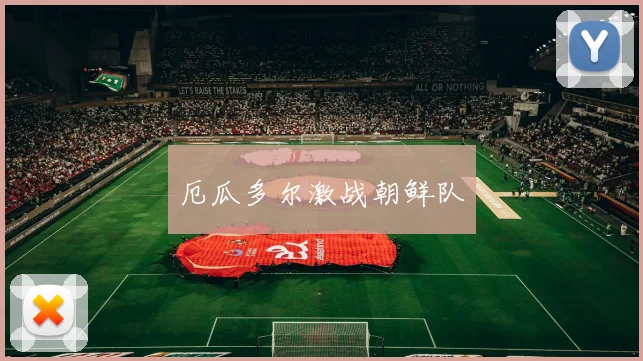 厄瓜多尔激战朝鲜队