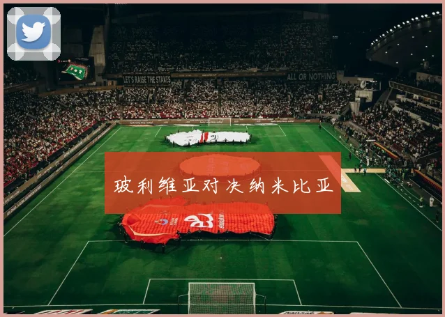 玻利维亚对决纳米比亚