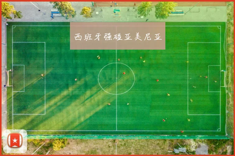 西班牙强碰亚美尼亚