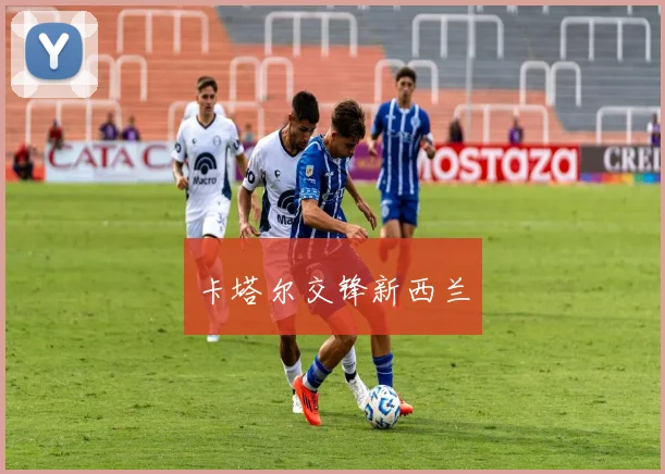 卡塔尔交锋新西兰