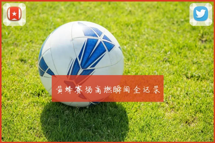 黄蜂赛场高燃瞬间全记录