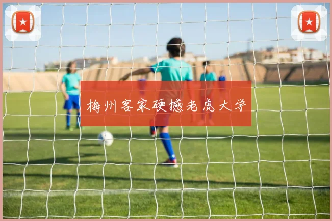 梅州客家硬撼老虎大学