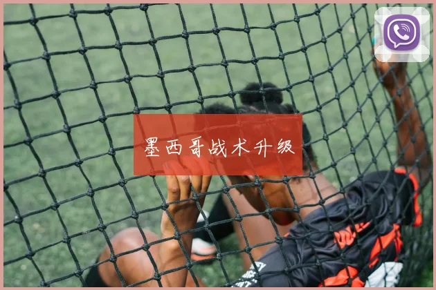墨西哥战术升级