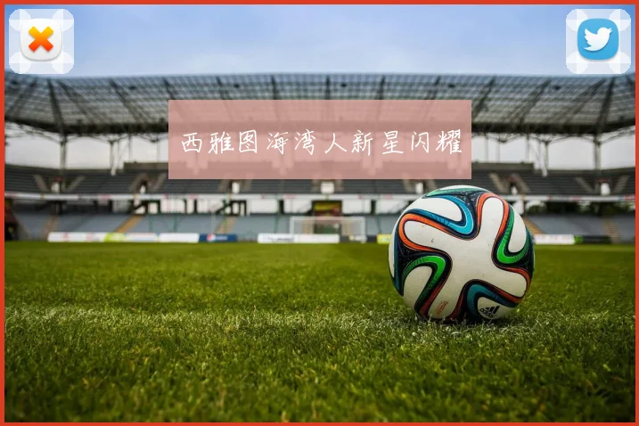 西雅图海湾人新星闪耀