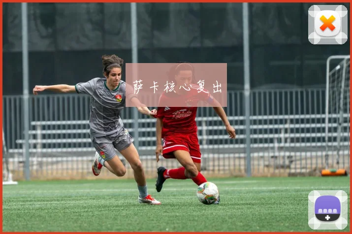 萨卡核心复出