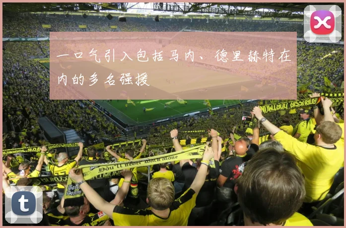一口气引入包括马内、德里赫特在内的多名强援