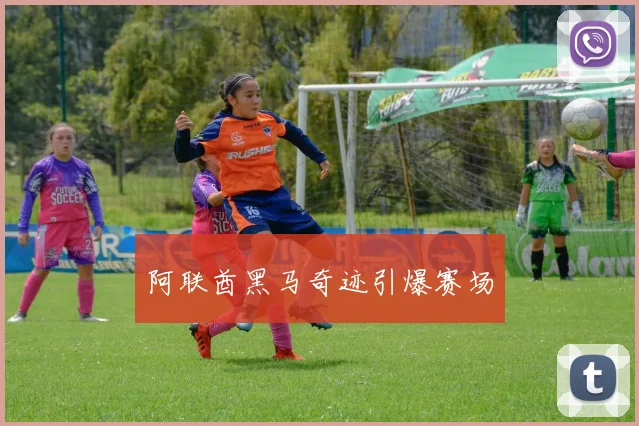 阿联酋黑马奇迹引爆赛场