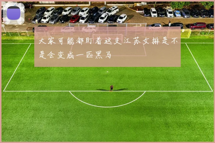 大家可能都盯着这支江苏女排是不是会变成一匹黑马