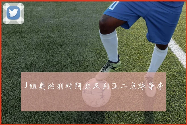 J组奥地利对阿尔及利亚二点球争夺