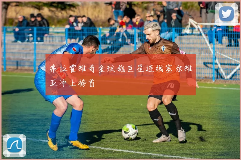 弗拉霍维奇金玟哉巨星连线塞尔维亚冲上榜首