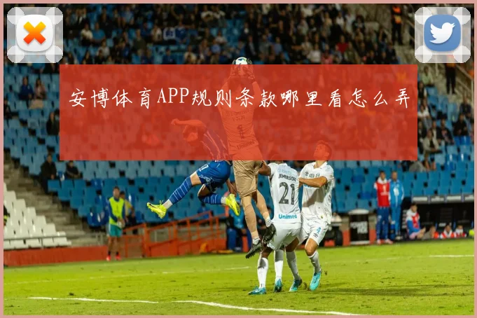 安博体育APP规则条款哪里看怎么弄