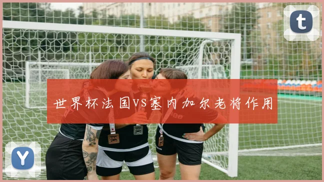 世界杯法国vs塞内加尔老将作用